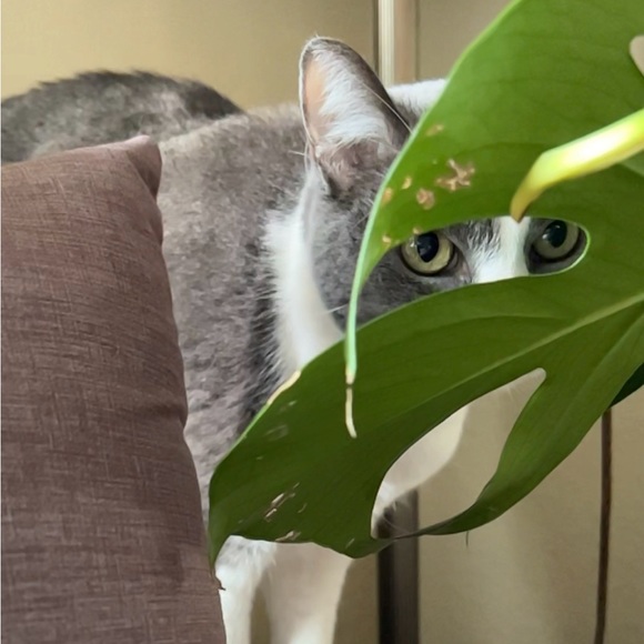 Meet your Posher, Teri - Picture 6 of 12